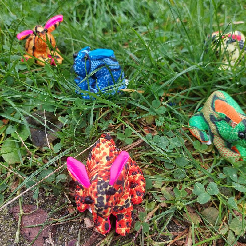 Mini zanddier haas in verschillende kleuren in grass, sensoriek speelgoed, fidget