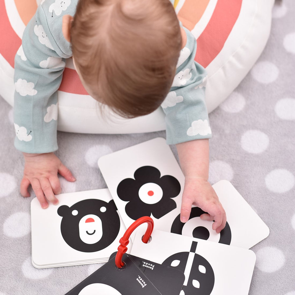 Toys42Hands Zwart-wit kaarten op ring 0m+