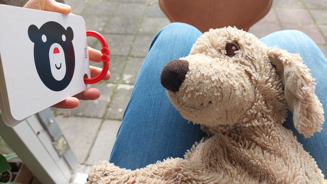 Toys42Hands Zwart-wit kaarten op ring 0m+