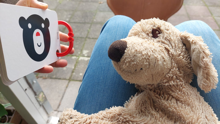 Toys42Hands Zwart-wit kaarten op ring 0m+