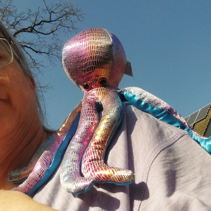 grote zanddier octopus, sensoriek knuffel, zware knuffel, motoriek materiaal