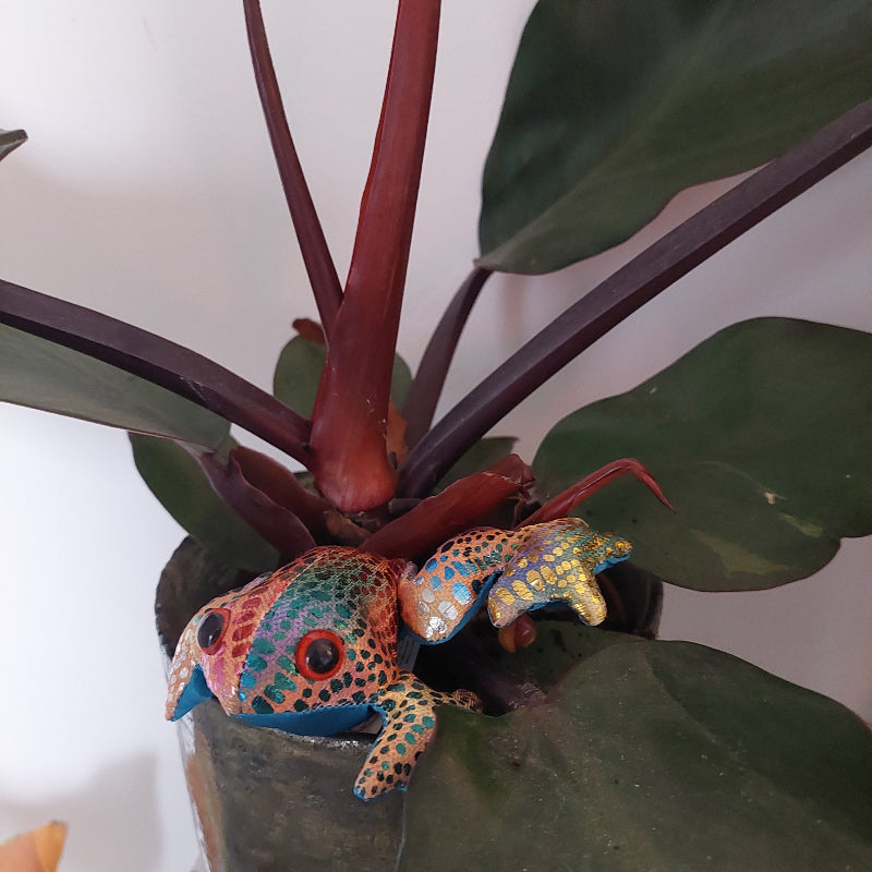 zanddier kikker in plant, kamerplant met zanddier kikker, regenboog zanddier, decoratie en motoriek en sensoriek