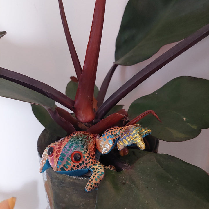 zanddier kikker in plant, kamerplant met zanddier kikker, regenboog zanddier, decoratie en motoriek en sensoriek