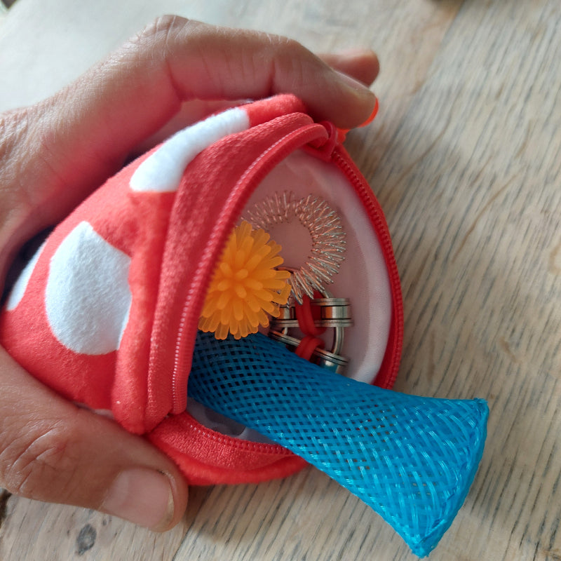fidget etui met inhoud, stille fidgets in een set