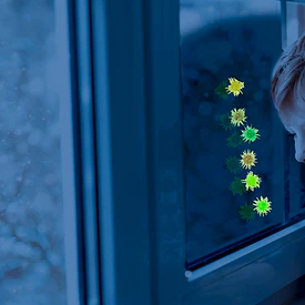 Sticky plakballetjes window walker