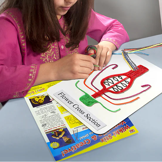 Kind legt een biologoie les plaatje van Wikki Stix op het afgekaderde werkbord