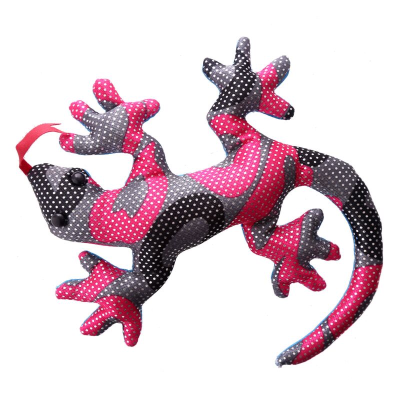 Mini regenbogenzanddier hagedis