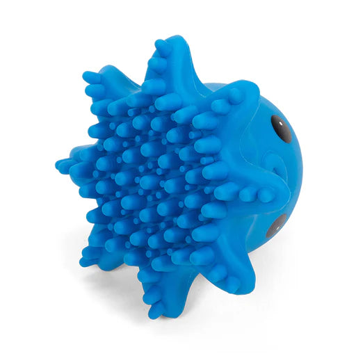 Sensory borstel octopus