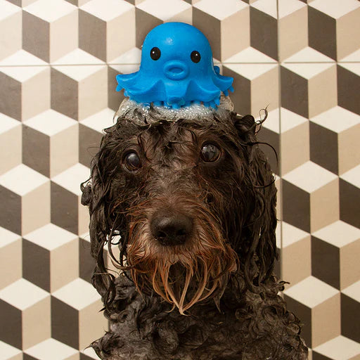 Sensory borstel octopus