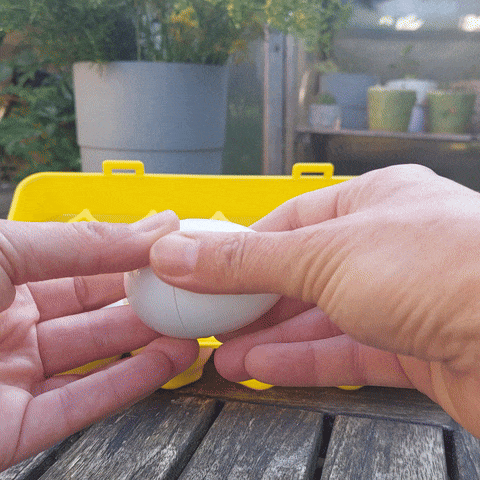 Eieren voel en tast memory voor blinde en slechtziende. Een sonsorisch spel.