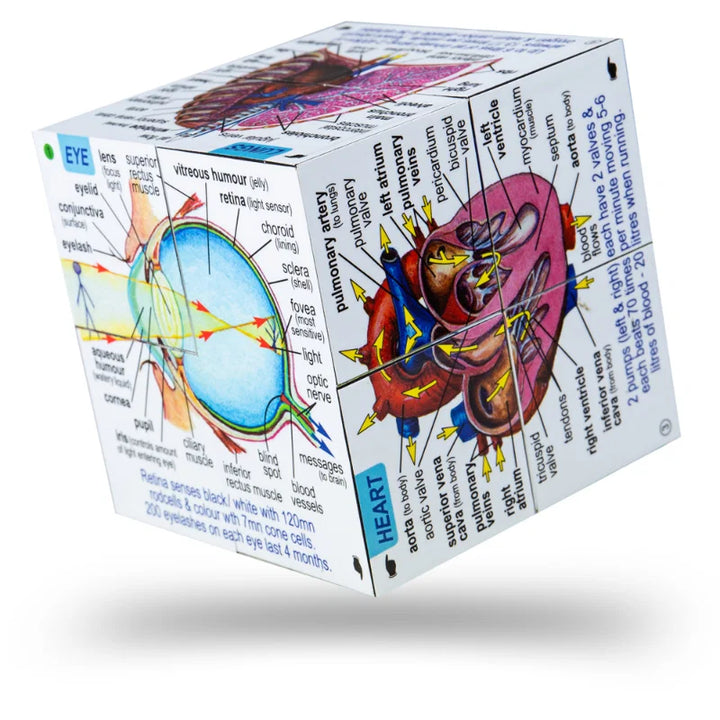 zoobookoo, kubusboek, human body