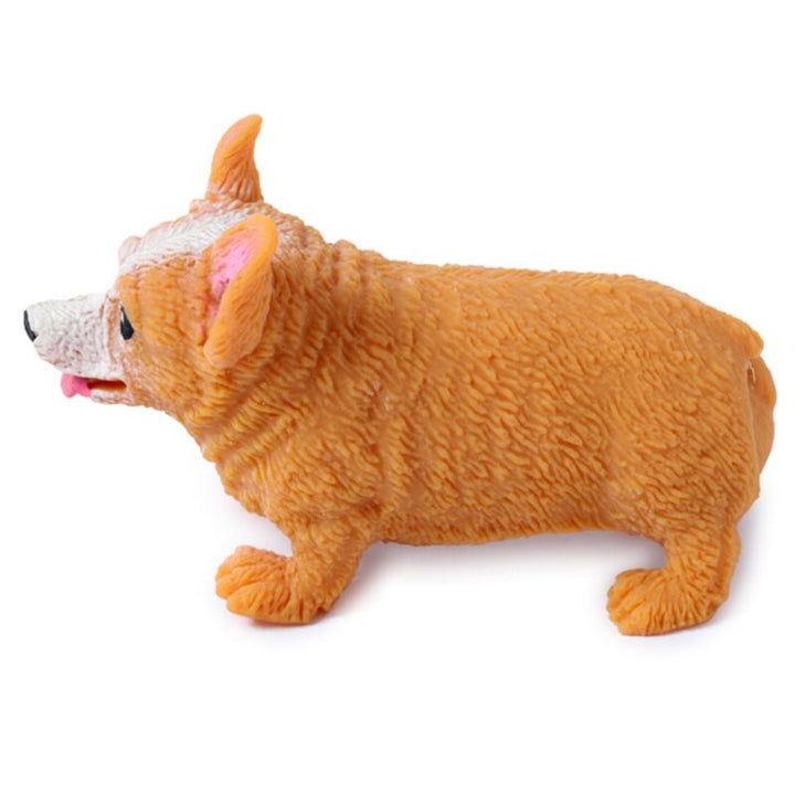 Stretchy Corgi dog