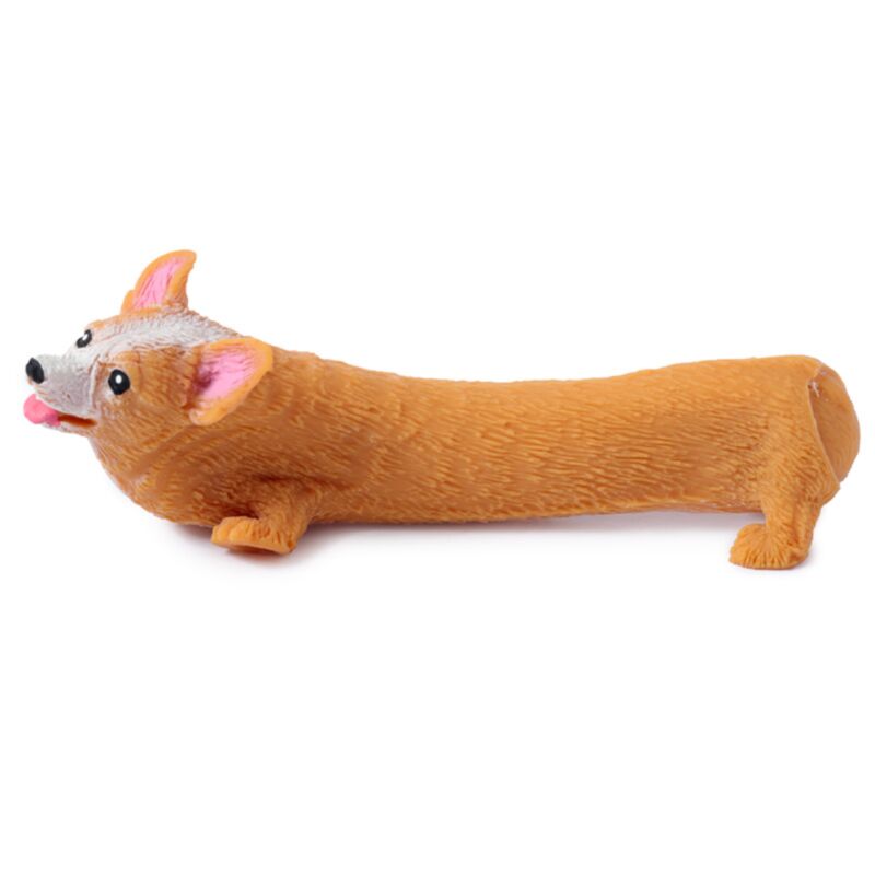 Stretchy Corgi dog
