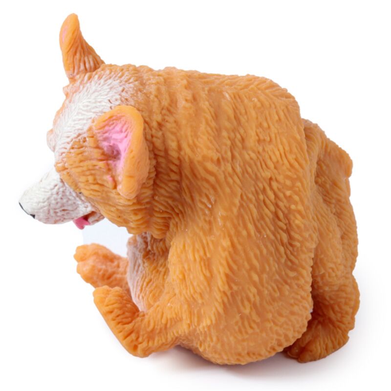 Stretchy Corgi dog