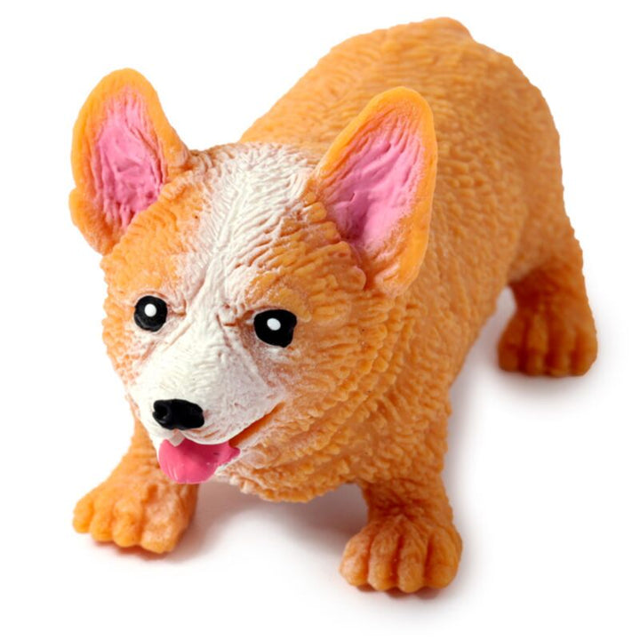 Stretchy Corgi dog