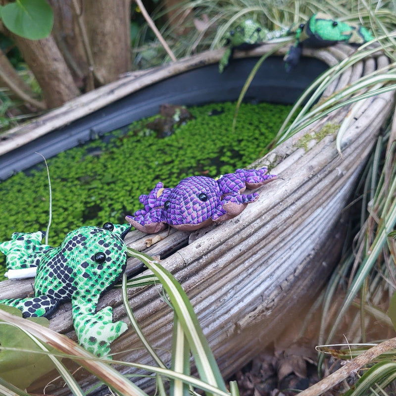 Toys42Hands Zanddier kikker mini