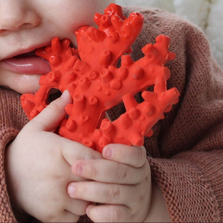 Baby kauwt op koraalvormige bijtring van Lanco Toys voor verlichting bij tandjes