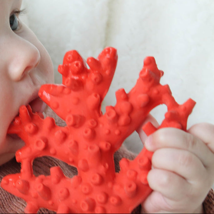 Baby houdt de Lanco koraal bijtring vast en bijt erop tijdens het doorkomen van tandjes, duurzaam baby speelgoed