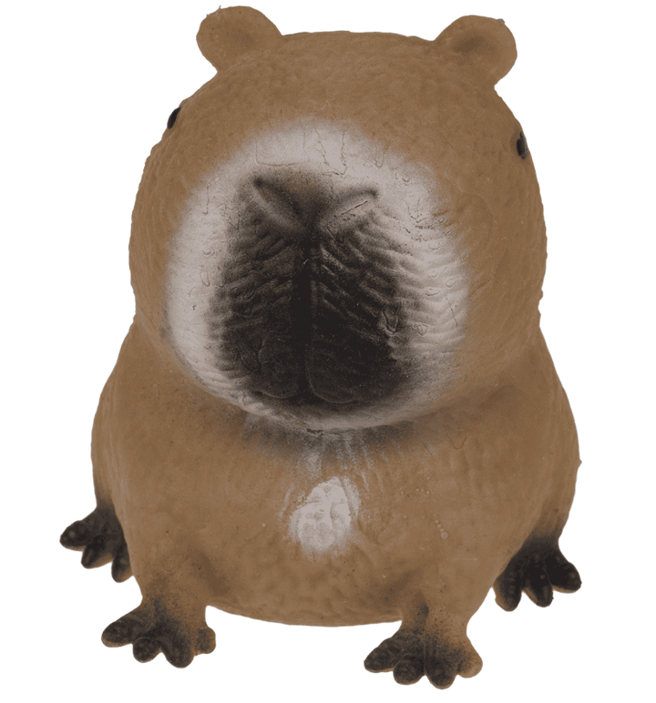 Squeezie Capybara