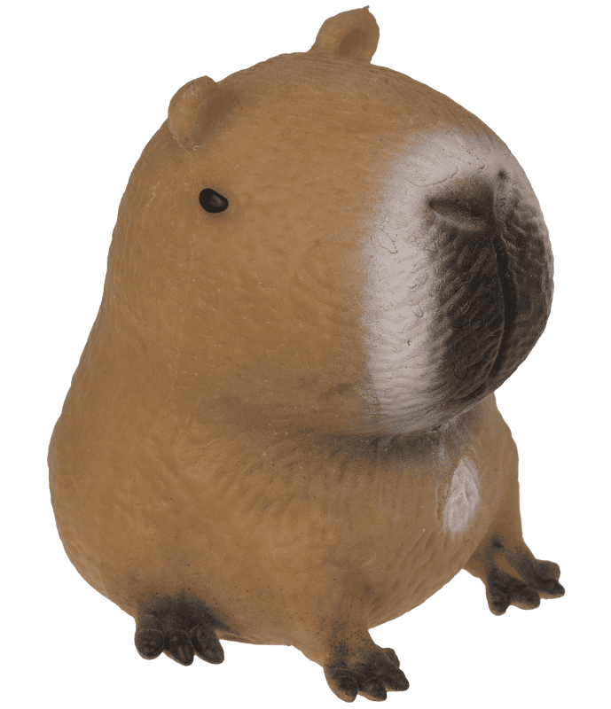 capybara zand gevulde fidget squeezie