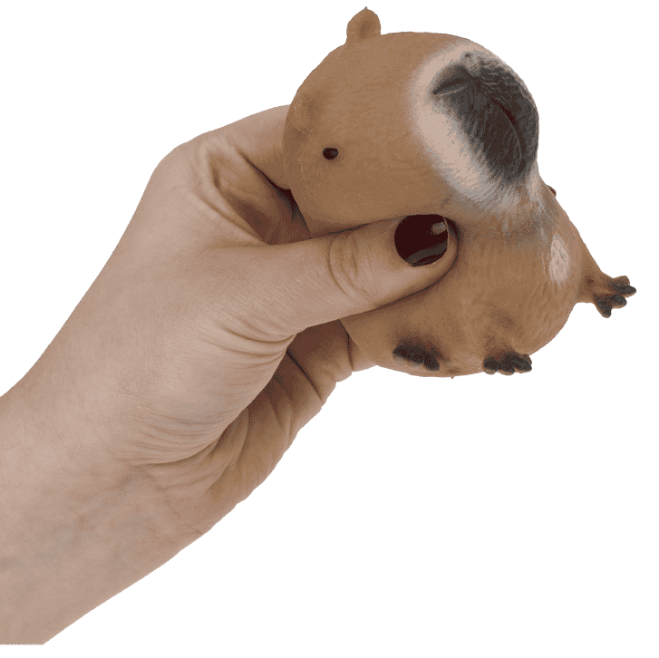 squeezie sand capybara, fidget, sensoriek speelgoedl
