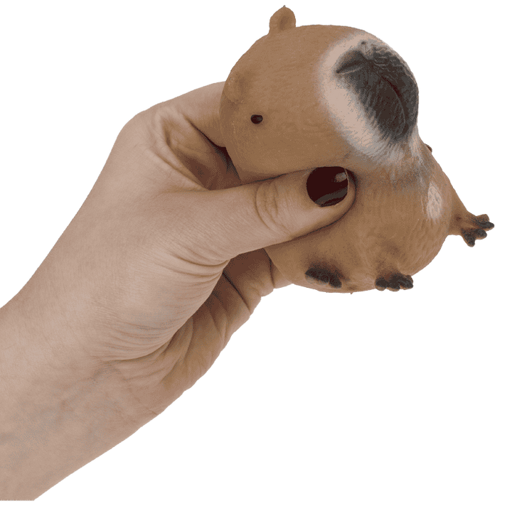 squeezie sand capybara, fidget, sensoriek speelgoedl