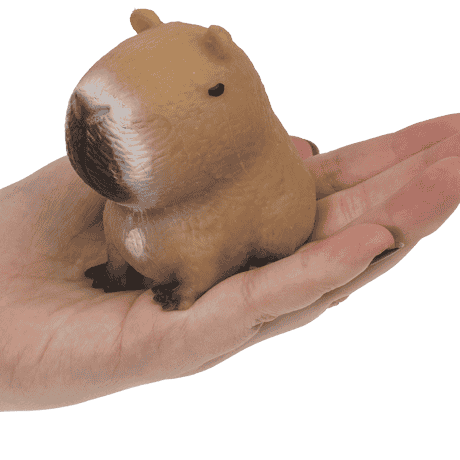 capybara fidget squeezie met sand vulling, op hand, fidget