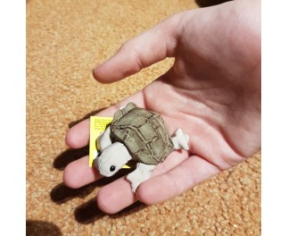 Zanddier schildpad mini 