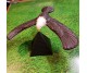 Balans vingervogel adelaar