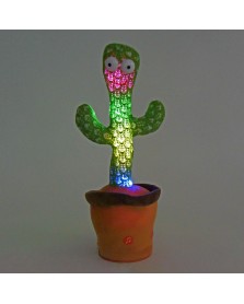 Recorder knuffel cactus