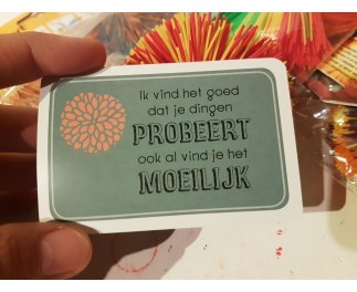 Niederländisch Kartenset mit Komplimenten Autismus